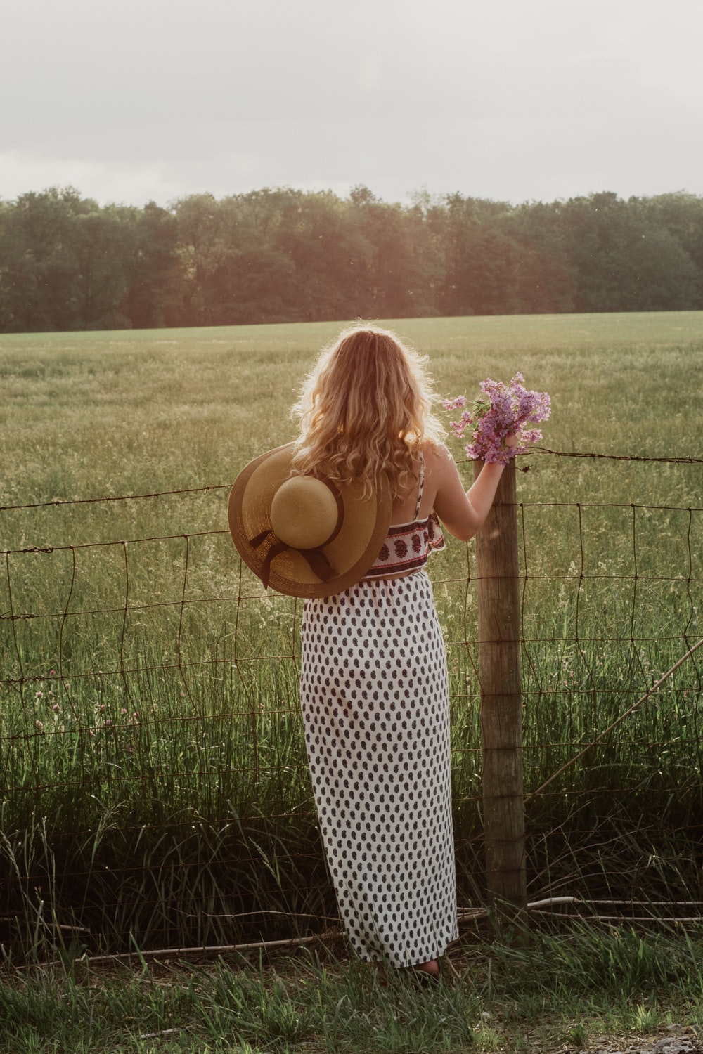 Picture